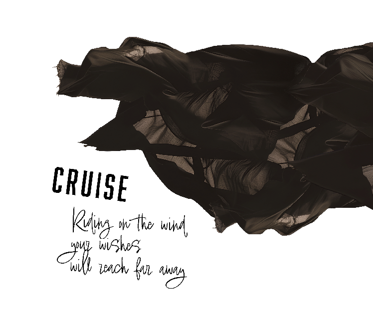 LONG T-shirt -CRUISE-