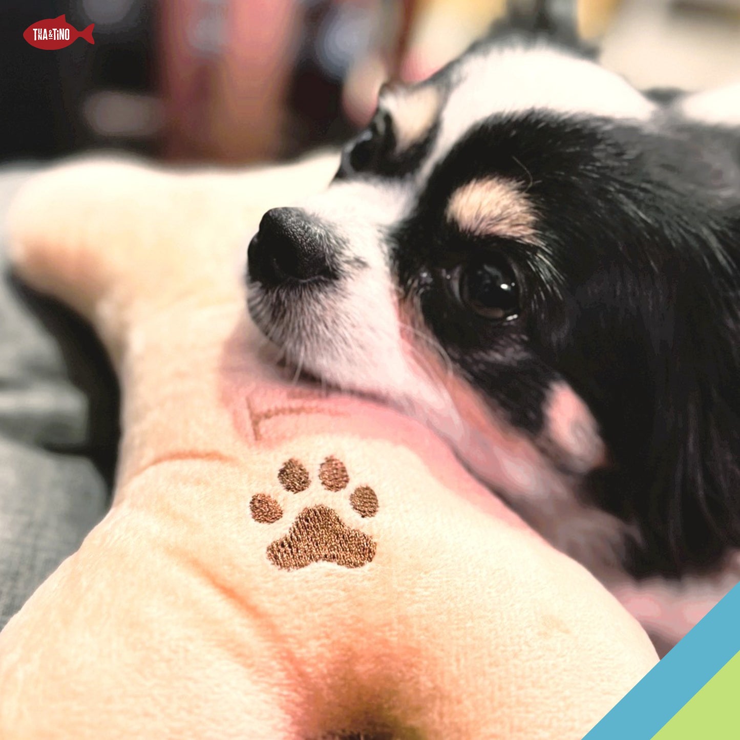 ボーン・クッション