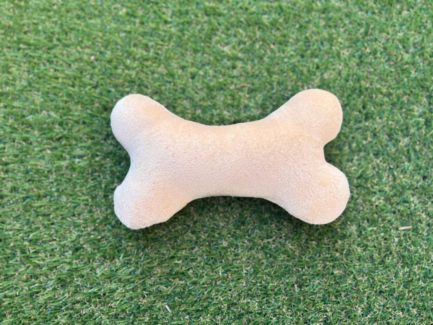 ボーン・クッション